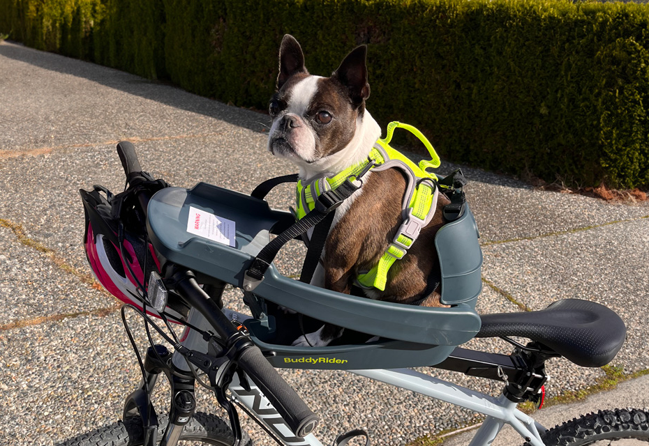 Buddyrider® Series 2 - siège vélo pour chiens