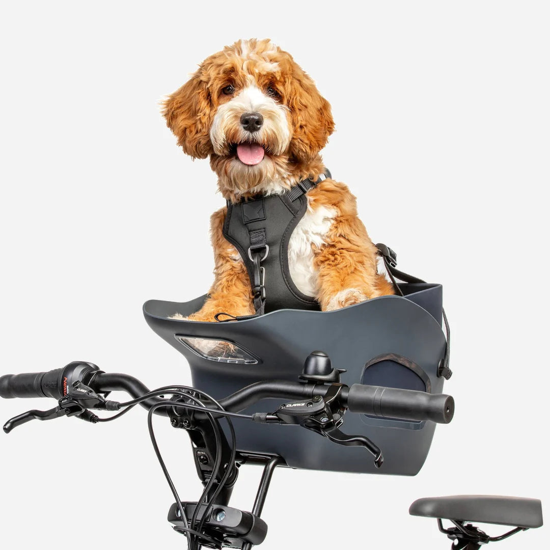 Kvisp Dog Bike Carrier - PREORDER 2026