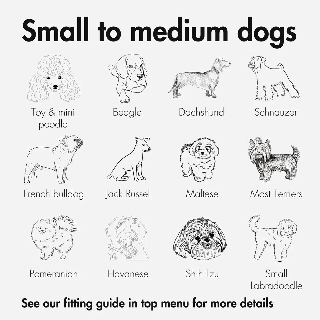 Kvisp Dog Bike Carrier - PREORDER 2026