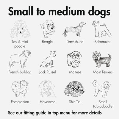 Kvisp Dog Bike Carrier - PREORDER 2026