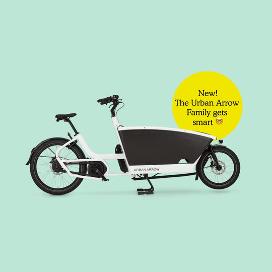 Wheel Allo Velo Paris Urban Arrow Family Cargo Line Smart System