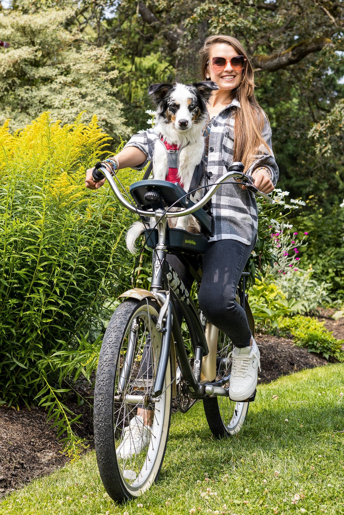 Wym Rider Dog Buddyrider® Series 2 - bike seat for dogs – VeloLifestyle 𝗯𝘆 𝗔𝗹𝗹𝗼 𝗩𝗲𝗹𝗼 𝗜𝗻𝗰