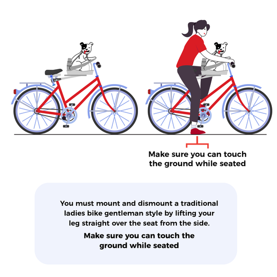 Buddy Rider Accessories VeloLifestyle