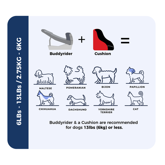 Buddyrider amazon hotsell