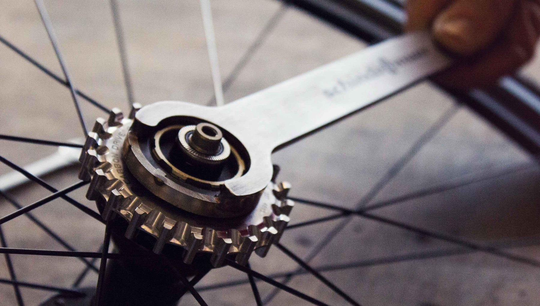 Schindelhauer Lockring Tool โ VeloLifestyle ๐ฏ๐ ๐๐น๐น๐ผ ๐ฉ๐ฒ๐น๐ผ